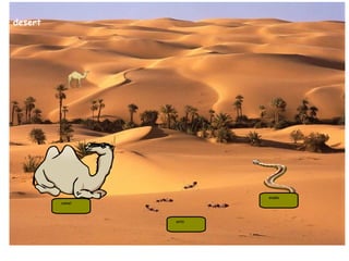 desert snake camel ants 