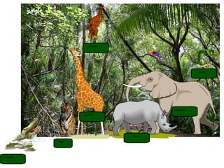 jungle tiger elephant monkey giraffe crocodile rhino snake 