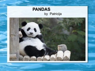 PANDAS
by Patricija
 
