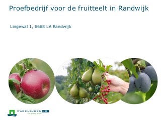 Proefbedrijf voor de fruitteelt in Randwijk 
Lingewal 1, 6668 LA Randwijk 
 