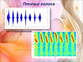 Шум | PPT