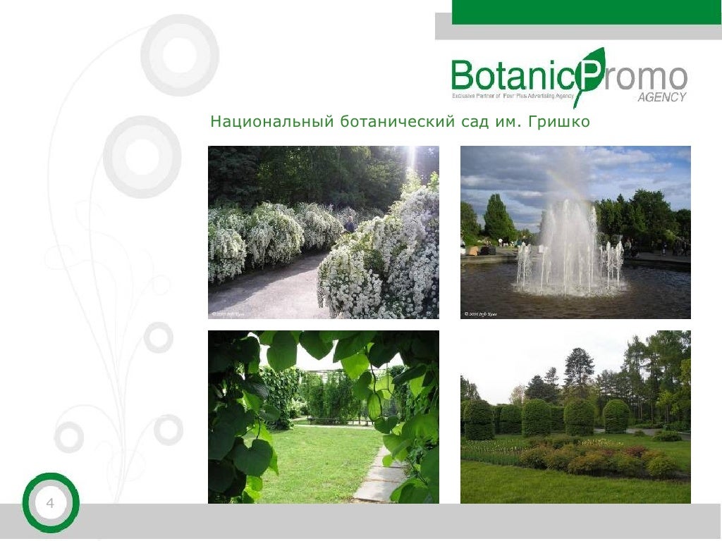 Грунты ботанический проект вопросы ответы Ботанический проект калуга