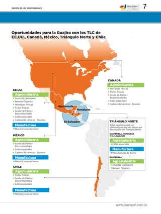 REVISTA DE LAS OPORTUNIDADES 7
www.proexport.com.co
Honduras
El Salvador
Guatemala
Oportunidades para la Guajira con los TLC de
EE.UU., Canadá, México, Triángulo Norte y Chile
CANADÁ
Agroindustria
Hortalizas frescas
Frutas frescas
Aceite de Palma -
Biocombustibles
Cafés especiales
Cadena de cárnicos - Bovinos
TRIÁNGULO NORTE
GUATEMALA, HONDURAS
Y EL SALVADOR
GUATEMALA
Agroindustria
Cafés especiales
Agroindustria
Acuícola y pesquero
Banano Orgánico
Manufactura
Manufacturas de hierro
EE.UU.
Agroindustria
Acuícola y pesquero
Banano Orgánico
Hortalizas frescas
Frutas frescas
Aceite de Palma -
Biocombustibles
Cafés especiales
Cadena de cárnicos - Bovinos
Manufactura
Manufacturas de hierro
MÉXICO
Agroindustria
Aceite de Palma -
Biocombustibles
Cafés especiales
Cadena de cárnicos - Bovinos
Manufactura
Manufacturas de hierro
CHILE
Agroindustria
Frutas frescas
Aceite de Palma -
Biocombustibles
Cafés especiales
Manufactura
Manufacturas de hierro
Estas oportunidades son
comunes para los tres países que
hacen parte del Triángulo Norte.
 