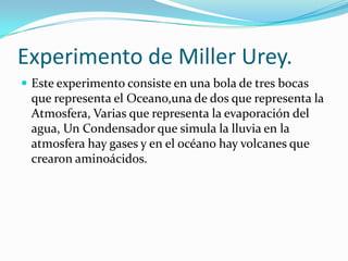 Experimento de Miller Urey.
 Este experimento consiste en una bola de tres bocas
 que representa el Oceano,una de dos que representa la
 Atmosfera, Varias que representa la evaporación del
 agua, Un Condensador que simula la lluvia en la
 atmosfera hay gases y en el océano hay volcanes que
 crearon aminoácidos.
 