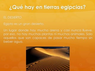 ¿Qué hay en tierras egipcias?
EL DESIERTO
Egipto es un gran desierto.
Un lugar donde hay mucha arena y casi nunca llueve,
por eso, no hay muchas plantas ni muchos animales. Solo
aquellos que son capaces de pasar mucho tiempo sin
beber agua.

 