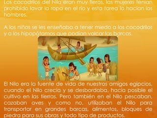 Los cocodrilos del Nilo eran muy fieros, las mujeres tenían
prohibido lavar la ropa en el río y esta tarea la hacían los
hombres.
A los niños se les enseñaba a tener miedo a los cocodrilos
y a los hipopótamos que podían volcar las barcas.

El Nilo era la fuente de vida de nuestros amigos egipcios,
cuando el Nilo crecía y se desbordaba, hacía posible el
cultivo en las tierras. Pero también en el Nilo pescaban,
cazaban aves y como no, utilizaban el Nilo para
transportar en grandes barcas, alimentos, bloques de
piedra para sus obras y todo tipo de productos.

 
