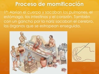 Proceso de momificación
1º: Abrían el cuerpo y sacaban los pulmones, el
estómago, los intestinos y el corazón. También
con un gancho por la nariz sacaban el cerebro,
los órganos que se estropean enseguida.

 