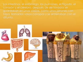 Los intestinos, el estómago, los pulmones, el hígado, el
corazón y el cerebro, después de ser lavados se
guardaban en unas vasijas, como unos jarrones con
tapa, llamados vasos canopos y se enterraban con el
difunto.

 