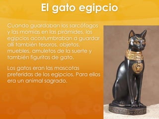 El gato egipcio
Cuando guardaban los sarcófagos
y las momias en las pirámides, los
egipcios acostumbraban a guardar
allí también tesoros, objetos,
muebles, amuletos de la suerte y
también figuritas de gato.
Los gatos eran las mascotas
preferidas de los egipcios. Para ellos
era un animal sagrado.

 