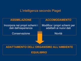 ASSIMILAZIONEASSIMILAZIONE
Incorpora nei propri schemi i
dati dell’esperienza
Conservazione
ADATTAMENTO DELL’ORGANISMO ALL’AMBIENTEADATTAMENTO DELL’ORGANISMO ALL’AMBIENTE
EQUILIBRIOEQUILIBRIO
ACCOMODAMENTOACCOMODAMENTO
Modifica i propri schemi per
adattarli ai nuovi dati
Novità
L’intelligenza secondo Piaget
 