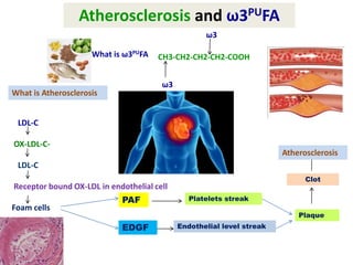 Atherosclerosis and ω3PUFA 
What is ω3PUFA CH3-CH2-CH2-CH2-COOH 
ω3 
ω3 
What is Atherosclerosis 
LDL-C 
OX-LDL-C-LDL- 
C 
Receptor bound OX-LDL in endothelial cell 
Foam cells 
PAF 
EDGF 
Platelets streak 
Endothelial level streak 
Atherosclerosis 
Clot 
Plaque 
 