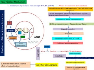 Four Possible Mechanism 
Mechanism of Gene- Nutrient Interaction 
Example 
Example 
R 
cAMP 
kinase 
Protein 
CRE 
phosphorilation 
mRNA 
 