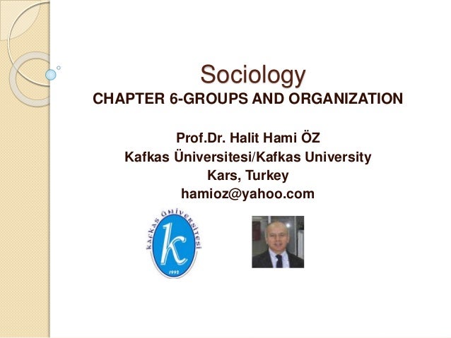 prof dr halit hami oz sociology chapter 6 groups and organization