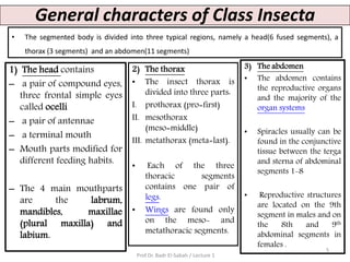 Prof. Dr. Badr El-Sabah Entomology Lecture 1 | PDF