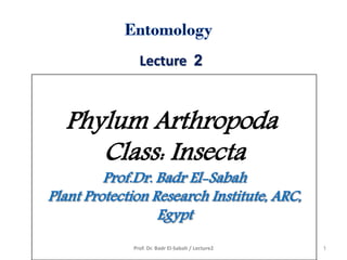 Lecture 2
Phylum Arthropoda
Class: Insecta
Prof. Dr. Badr El-Sabah / Lecture2 1
 