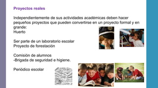 Proyectos reales
Independientemente de sus actividades académicas deben hacer
pequeños proyectos que pueden convertirse en un proyecto formal y en
grande:
Huerto
Ser parte de un laboratorio escolar
Proyecto de forestación
Comisión de alumnos
-Brigada de seguridad e higiene.
Periódico escolar
 