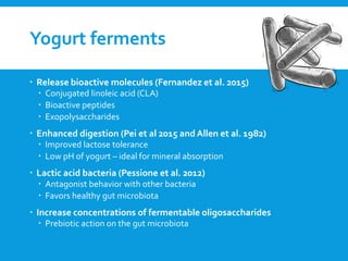 Yogurt ferments
 Release bioactive molecules (Fernandez et al. 2015)
 Conjugated linoleic acid (CLA)
 Bioactive peptides
 Exopolysaccharides
 Enhanced digestion (Pei et al 2015 and Allen et al. 1982)
 Improved lactose tolerance
 Low pH of yogurt – ideal for mineral absorption
 Lactic acid bacteria (Pessione et al. 2012)
 Antagonist behavior with other bacteria
 Favors healthy gut microbiota
 Increase concentrations of fermentable oligosaccharides
 Prebiotic action on the gut microbiota
 