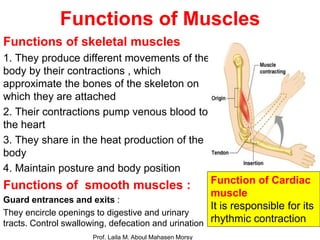 Muscles Function Movement Prof. laila muscular system 2018 | PDF