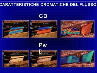 CARATTERISTICHE CROMATICHE DEL FLUSSOCARATTERISTICHE CROMATICHE DEL FLUSSO
CDCD
PwPw
DD
 
