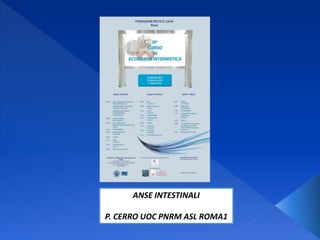 ANSE INTESTINALI
P. CERRO UOC PNRM ASL ROMA1
 