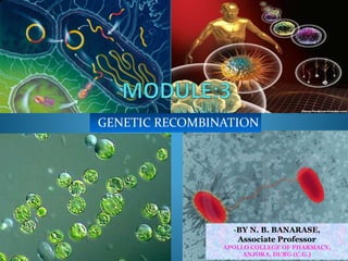 GENETIC RECOMBINATION
-BY N. B. BANARASE,
Associate Professor
APOLLO COLLEGE OF PHARMACY,
ANJORA, DURG (C.G.)
 