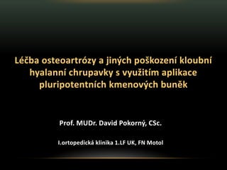 Prof. MUDr. David Pokorný, CSc.
I.ortopedická klinika 1.LF UK, FN Motol
Léčba osteoartrózy a jiných poškození kloubní
hyalanní chrupavky s využitím aplikace
pluripotentních kmenových buněk
 