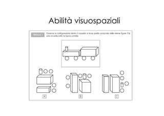 Abilità visuospaziali
 