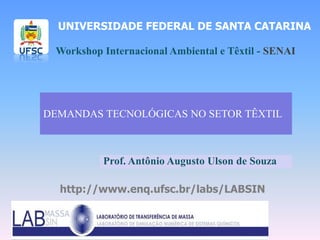 UNIVERSIDADE FEDERAL DE SANTA CATARINA

 Workshop Internacional Ambiental e Têxtil - SENAI




DEMANDAS TECNOLÓGICAS NO SETOR TÊXTIL



          Prof. Antônio Augusto Ulson de Souza

  http://www.enq.ufsc.br/labs/LABSIN
 