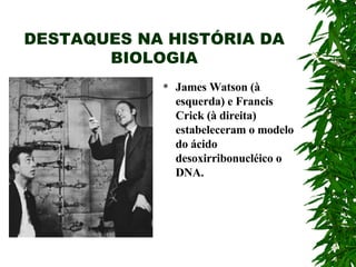 DESTAQUES NA HISTÓRIA DA BIOLOGIA James Watson (à esquerda) e Francis Crick (à direita) estabeleceram o modelo do ácido desoxirribonucléico o DNA. 