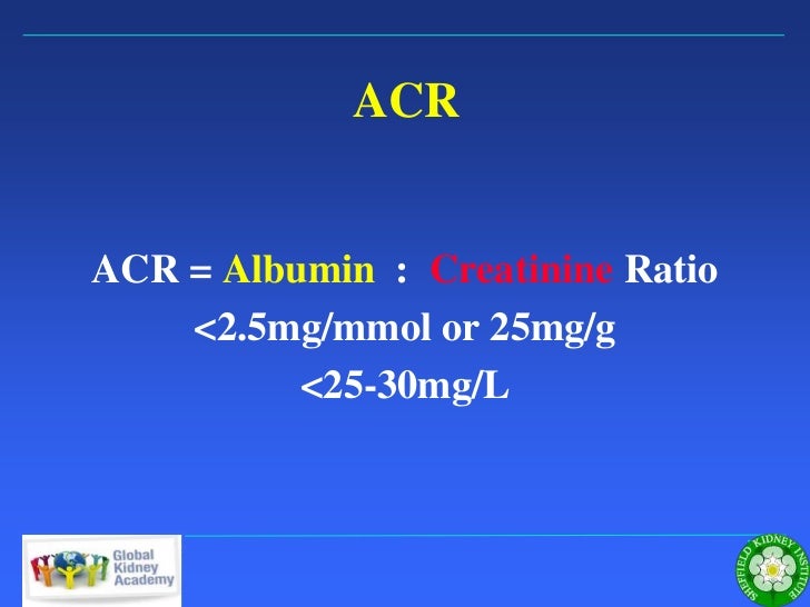 Prof. el nahas.what is new in ckd.