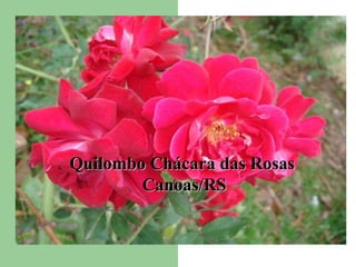 Quilombo Chácara das Rosas  Canoas/RS 