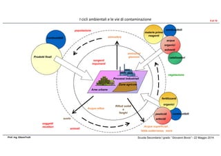 Processi industriali
Zone agricole
Aree urbane
sorgenti
inquinanti
soggetti
recettori
Acque reflue
Rifiuti solidi
e
fanghi
suolo
Acque superficiali ,
falda sotterranea, mare
emissioni
gassose
atmosfera
popolazione
vegetazione
animali
combustibili
fertilizzanti
organici
pesticidi
erbicidi
combustibili
Prodotti finali
combustibili
materie prime
reagenti
acqua
solventi
organici
catalizzatori
I cicli ambientali e le vie di contaminazione
Scuola Secondaria I grado ‘’Giovanni Bovio’’ - 22 Maggio 2014Prof. Ing. EttoreTrulli
5 di 10
 