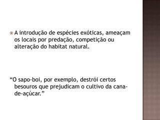 A introdução de espécies exóticas, ameaçam
 os locais por predação, competição ou
 alteração do habitat natural.




“O sapo-boi, por exemplo, destrói certos
 besouros que prejudicam o cultivo da cana-
 de-açúcar.”
 
