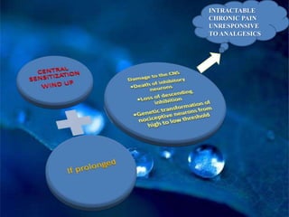 Prof. mridul m. panditrao's pain pathophysiology, management & role of ...