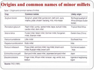 Origins and common names of minor millets
 