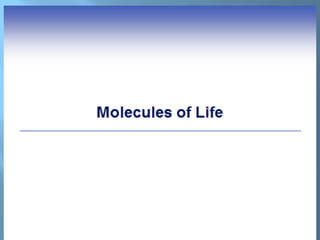 Prof 3a presentation | PPT