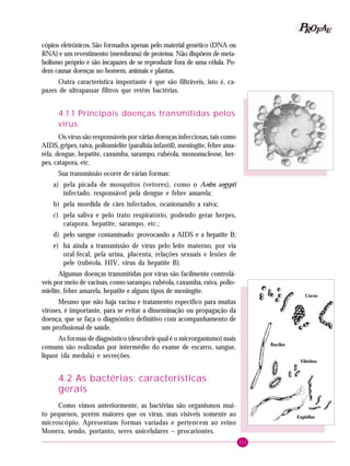 111
PPPPP EEEEEAAAAARRRRROOOOOFFFFF
cópios eletrônicos. São formados apenas pelo material genético (DNA ou
RNA) e um revestimento (membrana) de proteína. Não dispõem de meta-
bolismo próprio e são incapazes de se reproduzir fora de uma célula. Po-
dem causar doenças no homem, animais e plantas.
Outra característica importante é que são filtráveis, isto é, ca-
pazes de ultrapassar filtros que retêm bactérias.
4.1.1 Principais doenças transmitidas pelos
vírus
Os vírus são responsáveis por várias doenças infecciosas, tais como
AIDS, gripes, raiva, poliomielite (paralisia infantil), meningite, febre ama-
rela, dengue, hepatite, caxumba, sarampo, rubéola, mononucleose, her-
pes, catapora, etc.
Sua transmissão ocorre de várias formas:
a) pela picada de mosquitos (vetores), como o Aedes aegypti
infectado, responsável pela dengue e febre amarela;
b) pela mordida de cães infectados, ocasionando a raiva;
c) pela saliva e pelo trato respiratório, podendo gerar herpes,
catapora, hepatite, sarampo, etc.;
d) pelo sangue contaminado: provocando a AIDS e a hepatite B;
e) há ainda a transmissão de vírus pelo leite materno, por via
oral-fecal, pela urina, placenta, relações sexuais e lesões de
pele (rubéola, HIV, vírus da hepatite B).
Algumas doenças transmitidas por vírus são facilmente controlá-
veis por meio de vacinas, como sarampo, rubéola, caxumba, raiva, polio-
mielite, febre amarela, hepatite e alguns tipos de meningite.
Mesmo que não haja vacina e tratamento específico para muitas
viroses, é importante, para se evitar a disseminação ou propagação da
doença, que se faça o diagnóstico definitivo com acompanhamento de
um profissional de saúde.
As formas de diagnóstico (descobrir qual é o microrganismo) mais
comuns são realizadas por intermédio do exame de escarro, sangue,
líquor (da medula) e secreções.
4.2 As bactérias: características
gerais
Como vimos anteriormente, as bactérias são organismos mui-
to pequenos, porém maiores que os vírus, mas visíveis somente ao
microscópio. Apresentam formas variadas e pertencem ao reino
Monera, sendo, portanto, seres unicelulares – procariontes.
Cocos
Bacilos
Vibriões
Espirilos
 