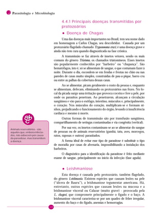 116
2 PPPPParasitologia e Microbiologia
4.4.1 Principais doenças transmitidas por
protozoários
••••• Doença de Chagas
Uma das doenças mais importantes no Brasil, tem seu nome dado
em homenagem a Carlos Chagas, seu descobridor. Causada por um
protozoário flagelado chamado Trypanosoma cruzi, é uma doença grave e
ainda não tem cura quando diagnosticada na fase crônica.
A transmissão se faz através de insetos vetores, sendo os mais
comuns do gênero Triatoma, os chamados triatomíneos. Esses insetos
são popularmente conhecidos por “barbeiro” ou “chupança”. São
hematófagos, isto é, só se alimentam de sangue, o que costumam fazer à
noite. Durante o dia, escondem-se em fendas e frestas no chão ou nas
paredes de casas muito simples, construídas de pau-a-pique, barro cru
ou entre as palhas da cobertura dessas casas.
Ao se alimentar, picam geralmente o rosto da pessoa e, enquanto
se alimentam, defecam, eliminando os protozoários nas fezes. No lo-
cal da picada surge uma irritação que provoca coceira e fere a pele, por
onde os parasitos penetram. Ao penetrarem, alcançam a circulação
sangüínea e vão para o esôfago, intestino, músculos e, principalmente,
o coração. Nos músculos do coração, multiplicam-se e formam ni-
nhos, prejudicando o funcionamento do órgão, levando à insuficiência
cardíaca e mesmo à morte.
Outras formas de transmissão são por transfusão sangüínea,
compartilhamento de seringas contaminadas e via congênita (vertical).
Por sua vez, os insetos contaminam-se ao se alimentar do sangue
de pessoas ou de animais reservatórios (gambá, tatu, aves, morcegos,
ratos, raposas e outros) parasitados.
A forma ideal de evitar esse tipo de parasitose é substituir o tipo
de moradia por casas de alvenaria, impossibilitando a instalação dos
barbeiros.
O diagnóstico para a identificação da parasitose é feito mediante
exame de sangue, principalmente no início da infecção (fase aguda).
••••• Leishmaniose
Esta doença é causada pelo protozoário, também flagelado,
do gênero Leishmania. Existem espécies que causam lesões na pele
(“úlcera de Bauru”), a leishmaniose tegumentar americana. Há,
entretanto, outras espécies que causam lesões na mucosa e a
leishmaniose visceral ou Calazar (muito grave) - provocada pela
L. chagasi, que compromete principalmente o fígado e o baço. A
leishmaniose visceral caracteriza-se por um quadro de febre irregular,
aumento do baço e do fígado, anemias e hemorragias.
Animais reservatórios - são
aqueles que, embora infecta-
dos, não adoecem por causa
da parasitose, mas transmitem
a doença.
 