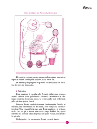 125
PPPPP EEEEEAAAAARRRRROOOOOFFFFF
Há também casos em que os vermes adultos migram para outros
órgãos e acabam saindo pelos ouvidos, boca, olhos, etc.
Os exames para pesquisa do parasito são realizados nas amos-
tras de fezes do hospedeiro.
• Tricuríase
Essa parasitose é causada pelo Trichuris trichiura que, como o
áscaris, também é um geohelminto. Portanto, a transmissão e a in-
fecção ocorrem do mesmo modo. O verme adulto tem preferência
pelo intestino grosso (ceco).
Como os demais, a maioria dos casos é assintomática. Quando há
sintomas, são semelhantes aos do áscaris, com exceção da obstrução
intestinal. Uma conseqüência mais séria dessa parasitose é o prolapso
retal – caso em que o reto sai para fora do corpo devido à força que o
indivíduo faz ao sentir a falsa impressão de querer evacuar, com relativa
freqüência.
O diagnóstico é o mesmo dos demais casos de áscaris.
Ciclo biológico do Áscaris lumbricoides
 