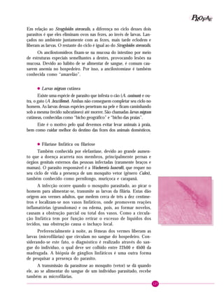 127
PPPPP EEEEEAAAAARRRRROOOOOFFFFF
Em relação ao Strogyloides stercoralis, a diferença no ciclo desses dois
parasitos é que eles eliminam ovos nas fezes, ao invés de larvas. Lan-
çados no ambiente juntamente com as fezes, mais tarde eclodem e
liberam as larvas. O restante do ciclo é igual ao do Strogyloides stercoralis.
Os ancilostomídeos fixam-se na mucosa do intestino por meio
de estruturas especiais semelhantes a dentes, provocando lesões na
mucosa. Devido ao hábito de se alimentar de sangue, é comum cau-
sarem anemia no hospedeiro. Por isso, a ancilostomíase é também
conhecida como “amarelão”.
• Larvas migrans cutânea
Existe uma espécie de parasito que infesta o cão (A. caninum) e ou-
tra, o gato (A .braziliense). Ambas não conseguem completar seu ciclo no
homem. As larvas dessas espécies penetram na pele e ficam caminhando
sob a mesma (tecido subcutâneo) até morrer. São chamadas larvas migrans
cutâneas, conhecidas como “bicho geográfico” e “bicho das praias”.
Este é o motivo pelo qual devemos evitar levar animais à praia,
bem como cuidar melhor do destino das fezes dos animais domésticos.
• Filaríase linfática ou filariose
Também conhecida por elefantíase, devido ao grande aumen-
to que a doença acarreta nos membros, principalmente pernas e
órgãos genitais externos das pessoas infectadas (raramente braços e
mamas). O parasito responsável é a Wuchereria bancrofti, que requer no
seu ciclo de vida a presença de um mosquito vetor (gênero Culex),
também conhecido como pernilongo, muriçoca e carapanã.
A infecção ocorre quando o mosquito parasitado, ao picar o
homem para alimentar-se, transmite as larvas da filária. Estas dão
origem aos vermes adultos, que medem cerca de três a dez centíme-
tros e localizam-se nos vasos linfáticos, onde promovem reações
inflamatórias (granulomas) e ou edema, pois, ao formar novelos,
causam a obstrução parcial ou total dos vasos. Como a circula-
ção linfática tem por função retirar o excesso de líquidos dos
tecidos, sua obstrução causa o inchaço local.
Preferencialmente à noite, as fêmeas dos vermes liberam as
larvas (microfilárias) que circulam no sangue do hospedeiro. Con-
siderando-se este fato, o diagnóstico é realizado através do san-
gue do indivíduo, o qual deve ser colhido entre 22h00 e 4h00 da
madrugada. A biópsia de gânglios linfáticos é uma outra forma
de pesquisar a presença do parasito.
A transmissão da parasitose ao mosquito (vetor) se dá quando
ele, ao se alimentar do sangue de um indivíduo parasitado, recebe
também as microfilárias.
 