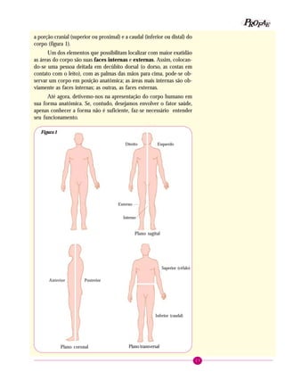 17
PPPPP EEEEEAAAAARRRRROOOOOFFFFF
a porção cranial (superior ou proximal) e a caudal (inferior ou distal) do
corpo (figura 1).
Um dos elementos que possibilitam localizar com maior exatidão
as áreas do corpo são suas faces internas e externas. Assim, colocan-
do-se uma pessoa deitada em decúbito dorsal (o dorso, as costas em
contato com o leito), com as palmas das mãos para cima, pode-se ob-
servar um corpo em posição anatômica; as áreas mais internas são ob-
viamente as faces internas; as outras, as faces externas.
Até agora, detivemo-nos na apresentação do corpo humano em
sua forma anatômica. Se, contudo, desejamos envolver o fator saúde,
apenas conhecer a forma não é suficiente, faz-se necessário entender
seu funcionamento.
Figura 1
Plano transversal
Superior (céfalo)
Inferior (caudal)
Plano coronal
PosteriorAnterior
Plano sagital
Direito
Externo
Interno
Esquerdo
 