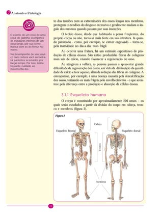 20
1 Anatomia e Fisiologia
to dos tendões com as extremidades dos ossos longos nos membros,
protegem os tendões do desgaste excessivo e geralmente mudam o ân-
gulo dos mesmos quando passam por suas inserções.
O tecido ósseo, desde que habituado a pesos freqüentes, do
próprio corpo ou não, torna-se mais forte em sua estrutura. Já quan-
do paralisado - como, por exemplo, se estiver engessado – torna-se,
pela inatividade no dia-a-dia, mais frágil.
Ao ocorrer uma fratura, há um estímulo espontâneo de pro-
dução de células ósseas. São então produzidas fibras de colágeno
mais sais de cálcio, visando favorecer a regeneração do osso.
Ao atingirem a velhice, as pessoas passam a apresentar grande
dificuldade de regeneração dos ossos, em vista da diminuição da quanti-
dade de cálcio e teor aquoso, além da redução das fibras de colágeno. A
osteoporose, por exemplo, é uma doença causada pela descalcificação
dos ossos, tornando-os mais frágeis pelo envelhecimento - o que acon-
tece pela diferença entre a produção e absorção de células ósseas.
3.1.1 Esqueleto humano
O corpo é constituído por aproximadamente 206 ossos – os
quais serão estudados a partir da divisão do corpo em cabeça, tron-
co e membros (figura 2).
O exame de um osso de uma
coxa de galinha exemplifica
as estruturas internas de um
osso longo, por sua seme-
lhança com às do fêmur hu-
mano.
No desempenho de seu servi-
ço com certeza você encontra-
rá pacientes acamados por
longo tempo. Por isso, tenha
bastante cuidado ao
movimentá-los.
Tronco
Membros
Cabeça
Esqueleto frontal Esqueleto dorsal
Figura 2
 
