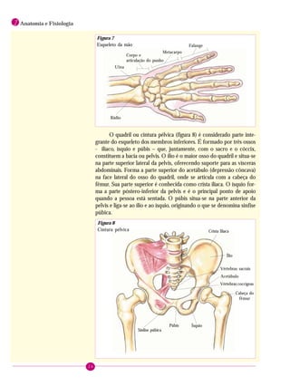24
1 Anatomia e Fisiologia
O quadril ou cintura pélvica (figura 8) é considerado parte inte-
grante do esqueleto dos membros inferiores. É formado por três ossos
- ilíaco, ísquio e púbis – que, juntamente, com o sacro e o cóccix,
constituem a bacia ou pelvis. O ílio é o maior osso do quadril e situa-se
na parte superior lateral da pelvis, oferecendo suporte para as vísceras
abdominais. Forma a parte superior do acetábulo (depressão côncava)
na face lateral do osso do quadril, onde se articula com a cabeça do
fêmur. Sua parte superior é conhecida como crista ilíaca. O ísquio for-
ma a parte póstero-inferior da pelvis e é o principal ponto de apoio
quando a pessoa está sentada. O púbis situa-se na parte anterior da
pelvis e liga-se ao ílio e ao ísquio, originando o que se denomina sínfise
púbica.
Figura 7
Esqueleto da mão
Ulna
Corpo e
articulação do punho
Metacarpo
Falange
Rádio
Figura 8
Cintura pélvica Crista Ilíaca
Ílio
Vértebras sacrais
Acetábulo
Vértebras coccígeas
Cabeça do
fêmur
ÍsquioPúbis
Sínlise púbica
 