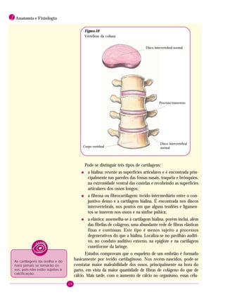 26
1 Anatomia e Fisiologia
Pode-se distinguir três tipos de cartilagens:
• a hialina: reveste as superfícies articulares e é encontrada prin-
cipalmente nas paredes das fossas nasais, traquéia e brônquios,
na extremidade ventral das costelas e recobrindo as superfícies
articulares dos ossos longos;
• a fibrosa ou fibrocartilagem: tecido intermediário entre o con-
juntivo denso e a cartilagem hialina. É encontrada nos discos
intervertebrais, nos pontos em que alguns tendões e ligamen-
tos se inserem nos ossos e na sínfise púbica;
• a elástica: assemelha-se à cartilagem hialina, porém inclui, além
das fibrilas de colágeno, uma abundante rede de fibras elásticas
finas e contínuas. Este tipo é menos sujeito a processos
degenerativos do que a hialina. Localiza-se no pavilhão auditi-
vo, no conduto auditivo externo, na epiglote e na cartilagem
cuneiforme da laringe.
Estudos comprovam que o esqueleto de um embrião é formado
basicamente por tecido cartilaginoso. Nos recém-nascidos, pode-se
constatar maior maleabilidade dos ossos, principalmente na hora do
parto, em vista da maior quantidade de fibras de colágeno do que de
cálcio. Mais tarde, com o aumento de cálcio no organismo, essas célu-
Processo transverso
Disco intervertebral
normal
Disco intervertebral normal
Corpo vertebral
As cartilagens da orelha e do
nariz jamais se tornarão os-
sos, pois não estão sujeitas à
calcificação.
Figura 10
Vértebras da coluna
 