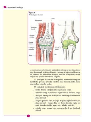 28
1 Anatomia e Fisiologia
so e encontram-se fortemente unidos à membrana de revestimento do
osso denominada periósteo. Quando a articulação não possui ligamen-
tos eficientes, há necessidade do apoio muscular, sendo este o maior
responsável pela estabilidade do conjunto.
As principais articulações do esqueleto humano são têmporo-
mandibular, processo articular vertebral, coxo-femoral, joelho, calca-
nhar, ombro, cotovelo, punho.
Os principais movimentos articulares são:
- flexão: diminui o ângulo entre as partes do corpo;
- extensão: corrige ou aumenta o ângulo entre as partes do corpo;
- abdução: afasta parte do corpo do plano sagital mediano no
plano coronal;
- adução: aproxima parte do corpo do plano sagital mediano, no
plano coronal - exceção feita aos dedos das mãos e pés, nos
quais abdução significa separá-los e adução, juntá-los;
- rotação: mover uma parte do corpo ao redor do seu eixo longi-
tudinal.
Côndilo do
úmero
Musculatura
Úmero
Membrana
sinovial
Cavidade
articular
Cápsula
articular
Cartilagens
articulares
Ulna
Rádio
Úmero
Figura11
Articulações sinoviais
 