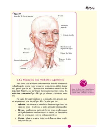 31
PPPPP EEEEEAAAAARRRRROOOOOFFFFF
3.4.2 Músculos dos membros superiores
Seria difícil contar durante todo um dia os diversos movimentos
realizados pelos braços, como pentear-se, pegar objetos, dirigir, abraçar
uma pessoa querida, etc. Determinados movimentos necessitam dos
músculos flexores, que participam da retração muscular; outros, dos
músculos extensores (figura 14), que permitem a extensão do mem-
bro.
Na região do braço localizam-se os músculos com grandes mas-
sas, responsáveis pela força (figura 13). Os principais são:
- deltóide – encontra-se na articulação do ombro e produz a ele-
vação do braço - é nele que se aplica a injeção intramuscular;
- bíceps – localiza-se na parte anterior do braço, sendo respon-
sável pela flexão do antebraço sobre si mesmo – é bem deline-
ado em pessoas que exercem práticas esportivas;
- tríceps – situa-se na parte posterior do braço e afasta o ante-
braço do bíceps.
Você já observou a quantidade
de movimentos possíveis de
serem feitos com seus braços?
Esternocleidomastóide
Frontal
Músculo do
supercílio
Orbicular do olho
Masseter
Músculo do nariz
(depressor do septo)
Orbicular dos lábios
Depressor do lábio
inferior
Platisma
Figura 12
Músculos da face e pescoço
Bucinador
 