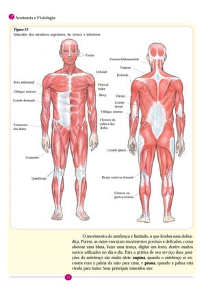 32
1 Anatomia e Fisiologia
O movimento do antebraço é limitado, o que lembra uma dobra-
diça. Porém, as mãos executam movimentos precisos e delicados, como
abotoar uma blusa, fazer uma trança, digitar um texto, dentre muitos
outros utilizados no dia-a-dia. Para a prática de seu serviço duas posi-
ções do antebraço são muito úteis: supina, quando o antebraço se en-
contra com a palma da mão para cima, e prona, quando a palma está
virada para baixo. Seus principais músculos são:
Deltóide
Faciais
Peitoral
maior
Bícep
Reto abdominal
Oblíquo externo
Flexores do
pulso e dos
dedos
Costureiro
Quadríceps
Esternocleidomastóide
Trapézio
Deltóide
Tríceps
Grande
dorsal
Oblíquo externo
Grande glúteo
Bíceps crural ou femural
Gêmeos ou
gastrocnêmios
Extensores
dos dedos
Grande denteado
Figura 13
Músculos dos membros superiores, do tronco e inferiores
 