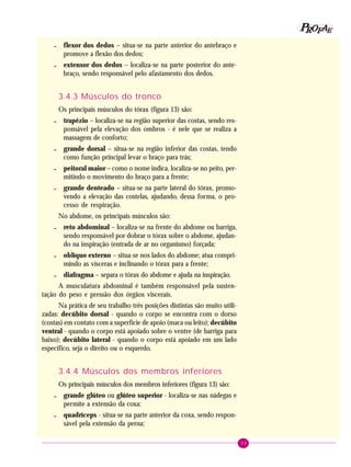 33
PPPPP EEEEEAAAAARRRRROOOOOFFFFF
- flexor dos dedos – situa-se na parte anterior do antebraço e
promove a flexão dos dedos;
- extensor dos dedos – localiza-se na parte posterior do ante-
braço, sendo responsável pelo afastamento dos dedos.
3.4.3 Músculos do tronco
Os principais músculos do tórax (figura 13) são:
- trapézio – localiza-se na região superior das costas, sendo res-
ponsável pela elevação dos ombros - é nele que se realiza a
massagem de conforto;
- grande dorsal – situa-se na região inferior das costas, tendo
como função principal levar o braço para trás;
- peitoral maior – como o nome indica, localiza-se no peito, per-
mitindo o movimento do braço para a frente;
- grande denteado – situa-se na parte lateral do tórax, promo-
vendo a elevação das costelas, ajudando, dessa forma, o pro-
cesso de respiração.
No abdome, os principais músculos são:
- reto abdominal – localiza-se na frente do abdome ou barriga,
sendo responsável por dobrar o tórax sobre o abdome, ajudan-
do na inspiração (entrada de ar no organismo) forçada;
- oblíquo externo – situa-se nos lados do abdome; atua compri-
mindo as vísceras e inclinando o tórax para a frente;
- diafragma – separa o tórax do abdome e ajuda na inspiração.
A musculatura abdominal é também responsável pela susten-
tação do peso e pressão dos órgãos viscerais.
Na prática de seu trabalho três posições distintas são muito utili-
zadas: decúbito dorsal - quando o corpo se encontra com o dorso
(costas) em contato com a superfície de apoio (maca ou leito); decúbito
ventral - quando o corpo está apoiado sobre o ventre (de barriga para
baixo); decúbito lateral - quando o corpo está apoiado em um lado
específico, seja o direito ou o esquerdo.
3.4.4 Músculos dos membros inferiores
Os principais músculos dos membros inferiores (figura 13) são:
- grande glúteo ou glúteo superior - localiza-se nas nádegas e
permite a extensão da coxa;
- quadríceps - situa-se na parte anterior da coxa, sendo respon-
sável pela extensão da perna;
 