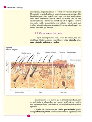 36
1 Anatomia e Fisiologia
encontramos, em pessoas obesas, os “detestados” excessos de gordura.
No entanto, o panículo adiposo proporciona proteção contra o frio.
Distribui-se por toda a superfície do corpo e varia de acordo com a
idade, sexo, estado nutricional e taxa de hormônios. Por ser mais
vascularizada que a derme essa camada da pele é capaz de absorver
com maior rapidez as substâncias nela injetadas – motivo pelo qual
recebe a administração de certas medicações, como a insulina para pa-
cientes diabéticos, por exemplo.
4.2 Os anexos da pele
Se a pele tem importância para a saúde das pessoas, seus ane-
xos (figura 15) não podem ser esquecidos: os pêlos, glândulas sebá-
ceas, glândulas sudoríparas e unhas.
Glândula sebácea Pêlo Glândula sudorípara Calosidade Poro sudoríparo
Glândula sudorípara
Planta do péBraçoCouro cabeludo
EpidermeDerme
Aparentemente, pode parecer que os pêlos são superficiais, mas
se você depilar a sobrancelha, por exemplo, verificará que eles têm
uma inserção profunda, pois situam-se em invaginações (saliências) na
epiderme.
Os pêlos são constituídos por células queratinizadas produ-
zidas por folículos pilosos, localizados na derme ou hipoderme, onde
Figura 15
Anexos da pele
 