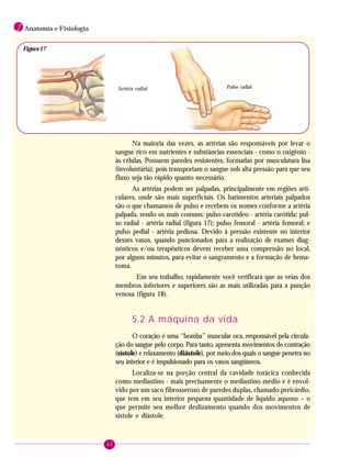 42
1 Anatomia e Fisiologia
Na maioria das vezes, as artérias são responsáveis por levar o
sangue rico em nutrientes e substâncias essenciais - como o oxigênio -
às células. Possuem paredes resistentes, formadas por musculatura lisa
(involuntária), pois transportam o sangue sob alta pressão para que seu
fluxo seja tão rápido quanto necessário.
As artérias podem ser palpadas, principalmente em regiões arti-
culares, onde são mais superficiais. Os batimentos arteriais palpados
são o que chamamos de pulso e recebem os nomes conforme a artéria
palpada, sendo os mais comuns: pulso carotídeo - artéria carótida; pul-
so radial - artéria radial (figura 17); pulso femoral - artéria femoral; e
pulso pedial - artéria pediosa. Devido à pressão existente no interior
desses vasos, quando puncionados para a realização de exames diag-
nósticos e/ou terapêuticos devem receber uma compressão no local,
por alguns minutos, para evitar o sangramento e a formação de hema-
toma.
Em seu trabalho, rapidamente você verificará que as veias dos
membros inferiores e superiores são as mais utilizadas para a punção
venosa (figura 18).
5.2 A máquina da vida
O coração é uma “bomba” muscular oca, responsável pela circula-
ção do sangue pelo corpo. Para tanto, apresenta movimentos de contração
(sístole) e relaxamento (diástole), por meio dos quais o sangue penetra no
seu interior e é impulsionado para os vasos sangüíneos.
Localiza-se na porção central da cavidade torácica conhecida
como mediastino - mais precisamente o mediastino médio e é envol-
vido por um saco fibrosseroso de paredes duplas, chamado pericárdio,
que tem em seu interior pequena quantidade de líquido aquoso – o
que permite seu melhor deslizamento quando dos movimentos de
sístole e diástole.
Artéria radial
Figura 17
Pulso radial
 